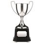 Nickel Plated Trophy thumbnail